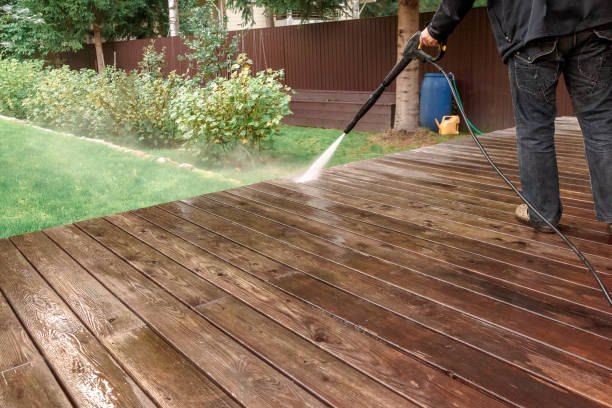 Best Soft Washing  in Willits, CA