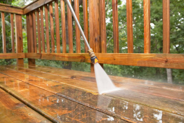 Animal Enclosure Cleaning in Willits, CA